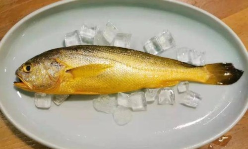 颈椎第一二节错位能自己复位吗-颈椎第一二节叫什么,中国颈椎第一 二节位置不好网站