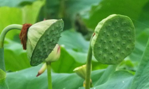 颈椎第一二节错位能自己复位吗-颈椎第一二节叫什么,中国颈椎第一 二节位置不好网站